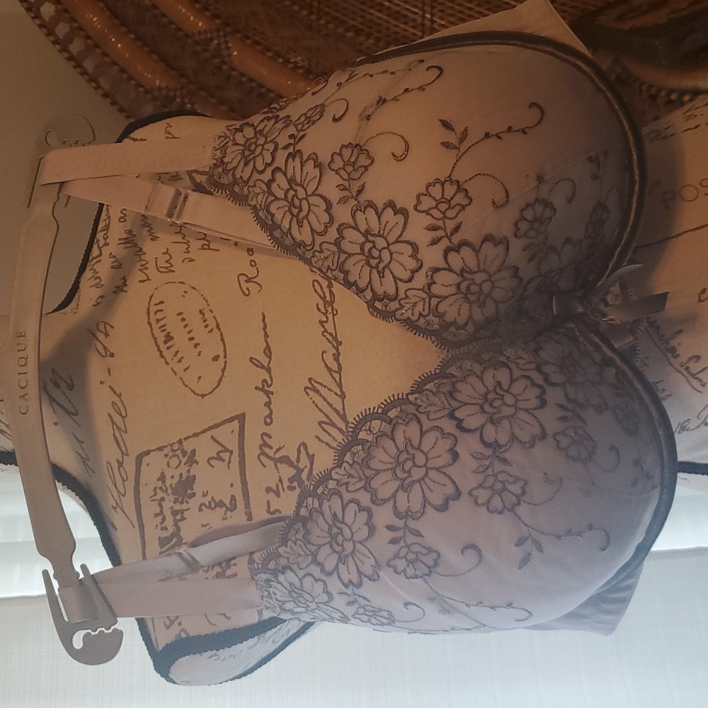 CACIQUE NWT PLUNGE BRA